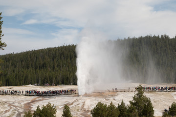 Beehive Geyser eruption in Yellowstone National Park
