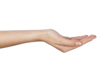 Woman hand with palm up on white background.