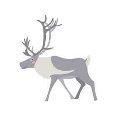 Reindeer. Grey deer. Vector flat illustration.