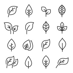 Leaf line icon set