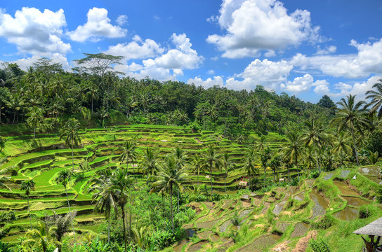 Ubud Palace, Bali, Indonesia..