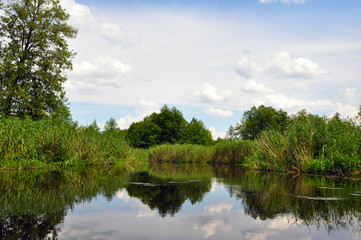 View of the river on a sunny day