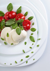 Mozzarella with tomato and green basil.