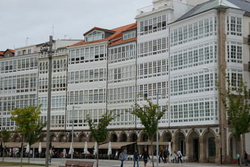 Obraz premium lacoruna