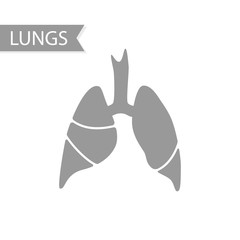 Vector silhouette medical illustration of human body organ - lungs with trachea.