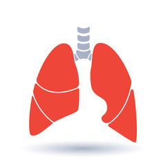 Vector silhouette medical illustration of human body organ - lungs with trachea.