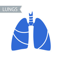 Vector silhouette medical illustration of human body organ - lungs with trachea.