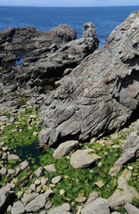 Cote Sauvage, Quiberon, Bretagne