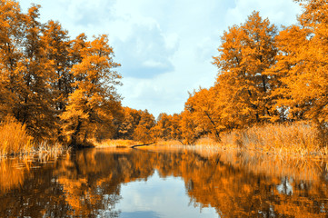 Golden banks of the river (processed photo)