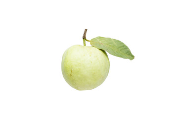 Guava fruit on a white background