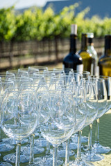 Wine tasting toasting glasses celebration event at a vineyard in Napa Valley