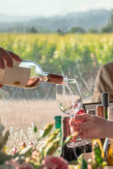 Wine tasting toasting glasses celebration event at a vineyard in Napa Valley