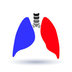 Vector silhouette medical illustration of human body organ - lungs with trachea.