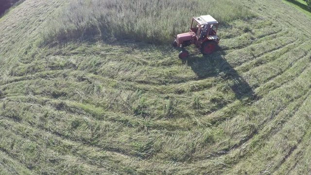 Red small retro tractor cut haying grass from summer end meadow in farmland, aerial view from drone