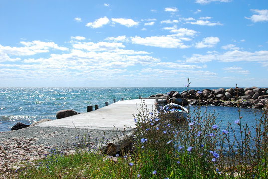 Old pier with summer flowers