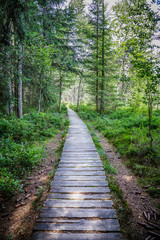 Schonach im Schwarzwald Wandern und Wintersport