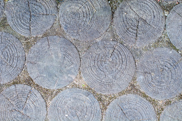 Old wooden garden path
