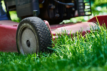 Low angle close up of lawnmower cutting fresh green grass