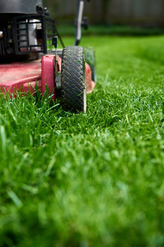 Low angle close up of lawnmower cutting fresh green grass