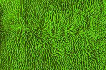 texture of green microfiber carpet for bathroom