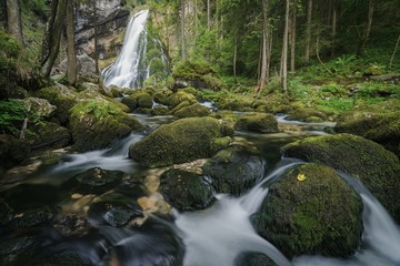 Obraz premium secret view