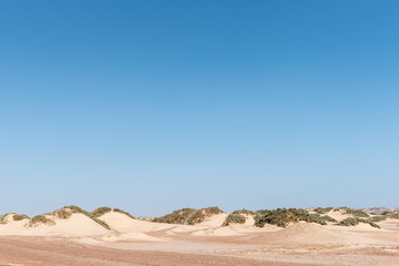 Fototapeta premium Typical Namib desert coastal dunes in the Skeleton Coast area