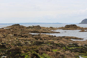 Vases de bord de mer