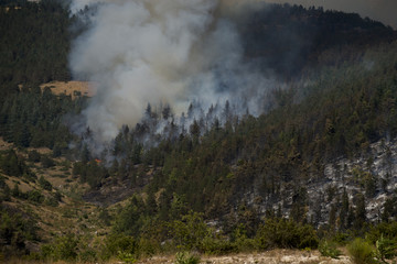 Incendio in montagna, boschi, cadanair, elicottero