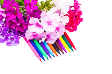 Colorful composition with flowers and colored pencils.Flat lay o