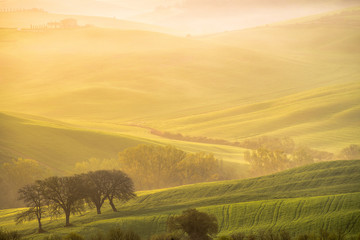 Hills, hills, hills...