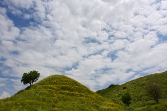 Biblical Landscape Of The Israeli Valley In Galilee
