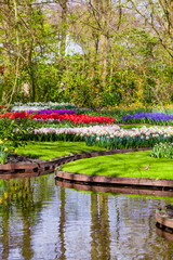 Obraz premium Garden landscape. modern garden design. Landscaped Yard and Garden