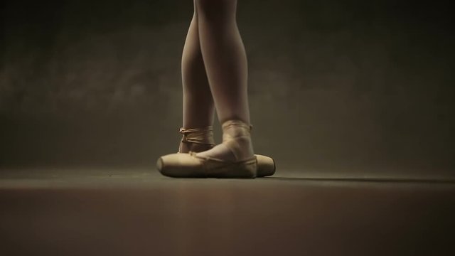 Girl Ballerina Posing In Studio
