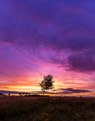 Fototapeta na wymiar Beautiful spectacular sunset sky over meadows and fields