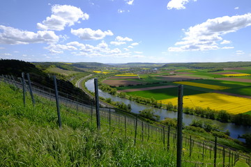 Fototapeta premium Landschaft und Weinberge bei Stetten, Landkreis Main-Spessart, Unterfranken, Bayern, Deutschland