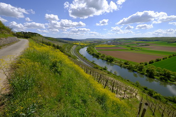 Landschaft und Weinberge bei Stetten, Landkreis Main-Spessart, Unterfranken, Bayern, Deutschland