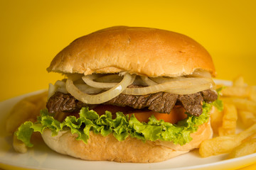 Sanduiche Gourmet Xtudo com batata frita