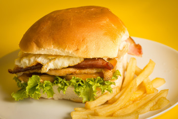Sanduiche Gourmet Xtudo com batata frita