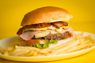 Sanduiche Gourmet Xtudo com batata frita