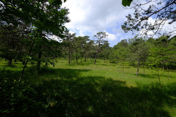 Naturschutz- und Landschaftsschutzgebiet Höhfeldplatte bei Thüngersheim, Landkreis Main-Spessart, Unterfranken, Bayern, Deutschland