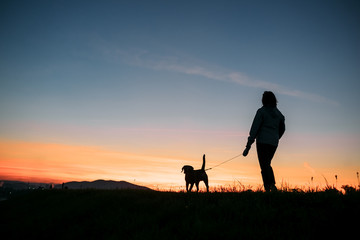 Sunset silhouettes woman and dog on the walk