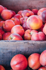 Yellow Summer Stone Fruit Organic Locally Grown Nectarines at the Farmer's Market in a Wooden Crate