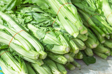 Chinese mustard planted in highland of Thailand, was harvested for sale in the market.