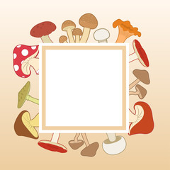 Colorful mushrooms around a white frame on a orange background, vector illustration