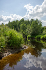 On the overgrown river bank under white clouds