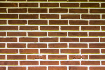 Old brick wall brings a background.