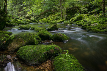 Buchberger Leite Wildbachklamm Naturfluss