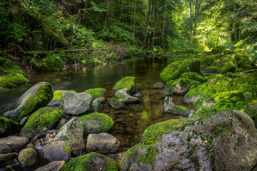 Naklejka na ściany i meble Buchberger Leite Wildbachklamm Naturfluss