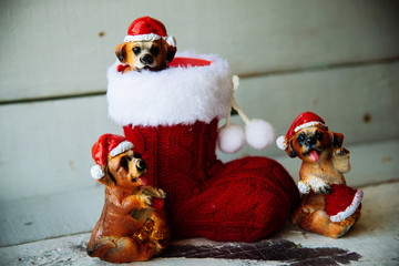 santa christmas dog in a red boot