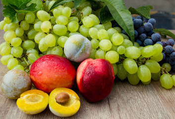 peaches, grapes and plums